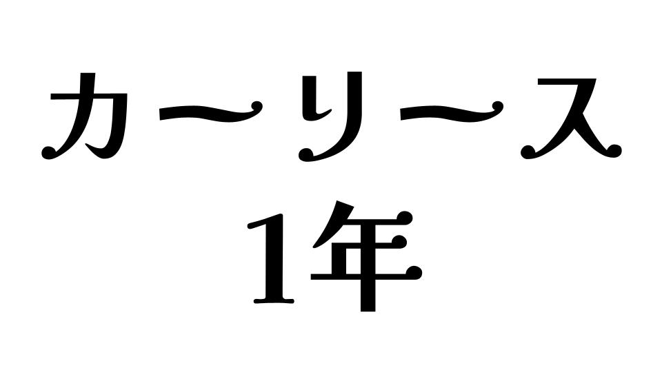 カーリース　1年